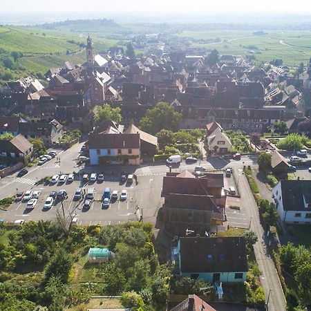 GEWURZTRAMINER - Joli studio au pied du vignoble Riquewihr Esterno foto