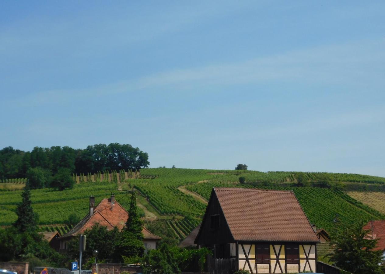 GEWURZTRAMINER - Joli studio au pied du vignoble Riquewihr Esterno foto